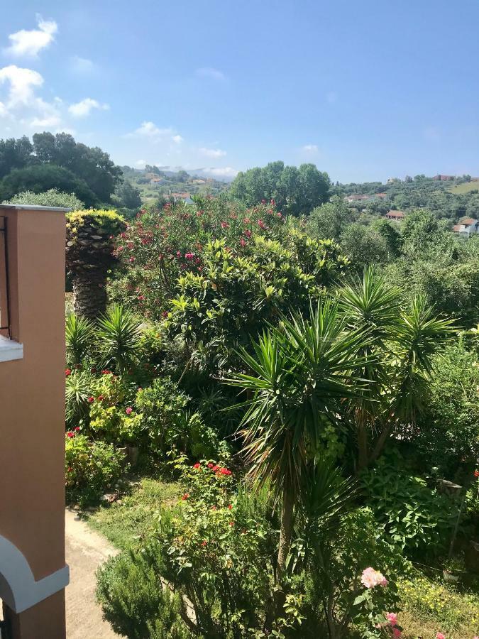 Floros Apartments Agios Stefanos Avliotes  Bagian luar foto