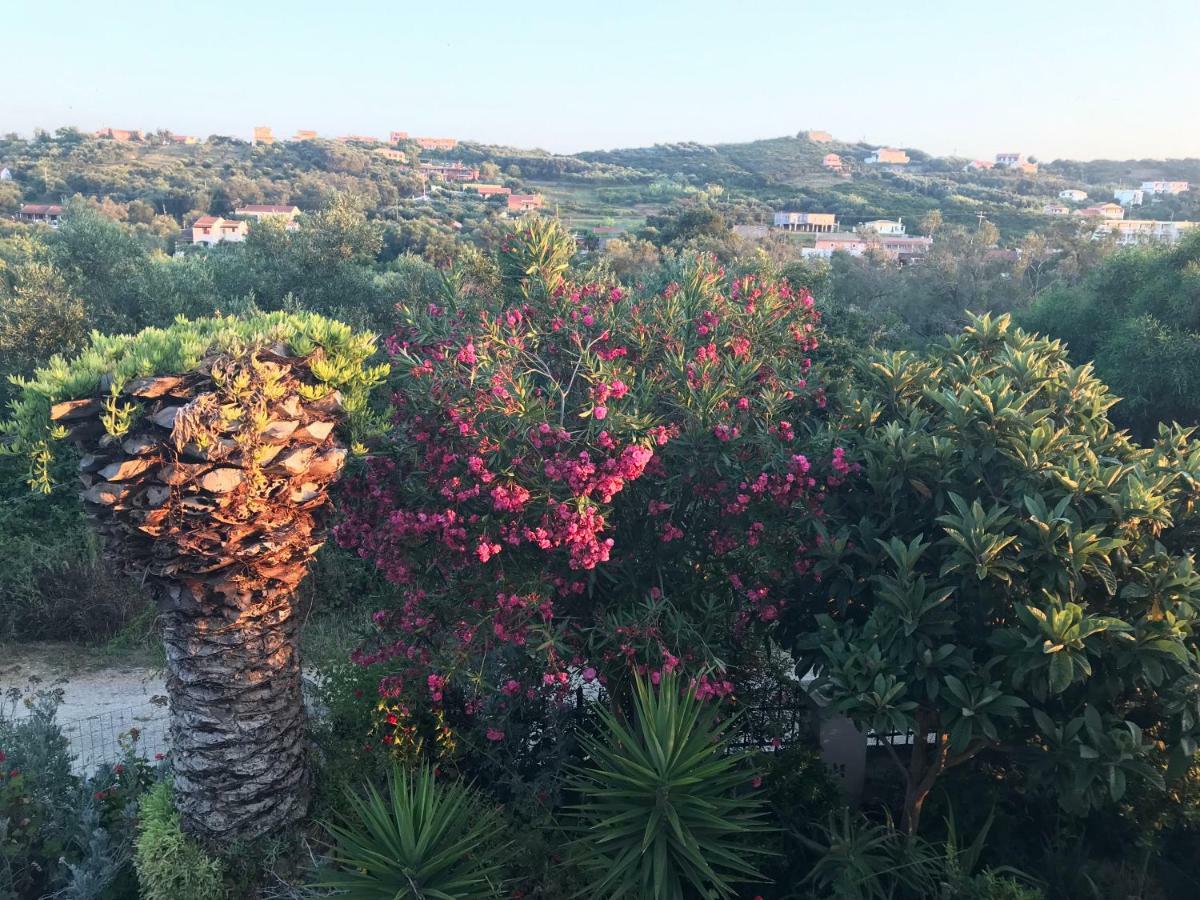 Floros Apartments Agios Stefanos Avliotes  Bagian luar foto
